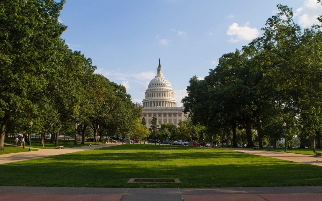 D.C. Living Brings Appreciation for the Metro for WISH Intern