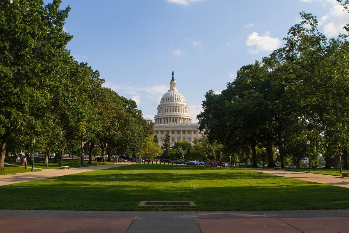 D.C. Living Brings Appreciation for the Metro for WISH Intern